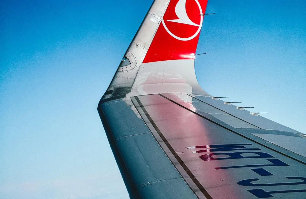 Airplane wing illustrating the Aviator category guide